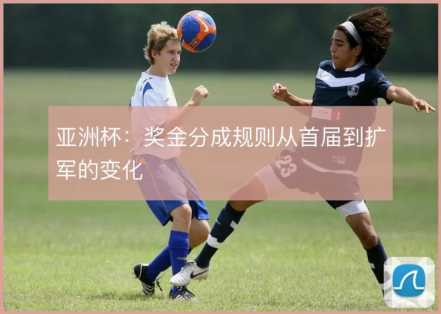 亚洲杯:奖金分成规则从首届到扩军的变化