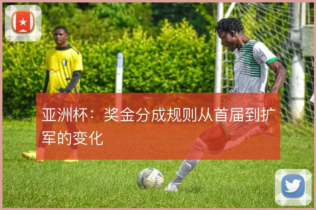 亚洲杯:奖金分成规则从首届到扩军的变化